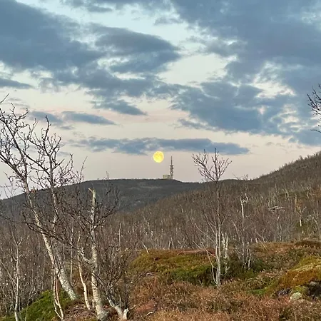 Homey With Sea View Apartmán