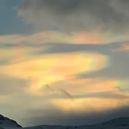 Homey With Sea View Apartment Tromso